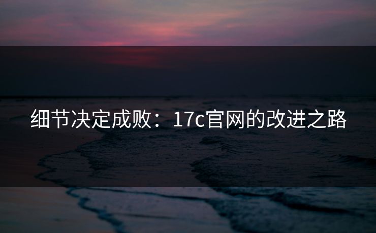 细节决定成败：17c官网的改进之路