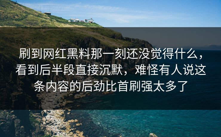 刷到网红黑料那一刻还没觉得什么，看到后半段直接沉默，难怪有人说这条内容的后劲比首刷强太多了
