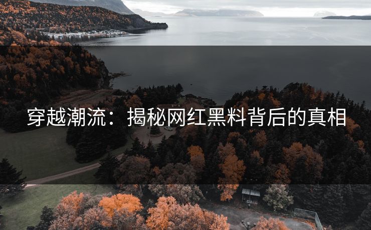 穿越潮流:揭秘网红黑料背后的真相 穿越潮流:揭秘网红黑料背后的真相