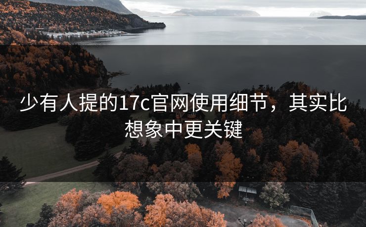 少有人提的17c官网使用细节,其实比想象中更关键 少有人提的17c官网使用细节,其实比想象中更关键